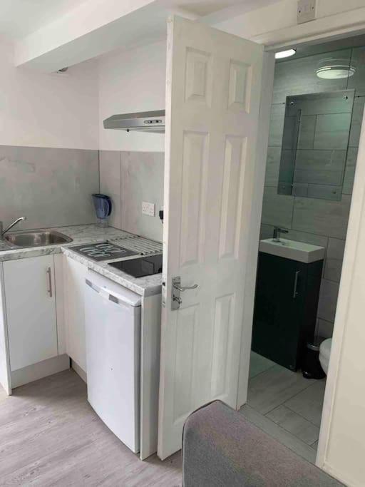 Cosy Flat-just Renovated-free Street Parking & Independent Entrance Apartment Hanworth